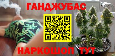гашик Краснознаменск