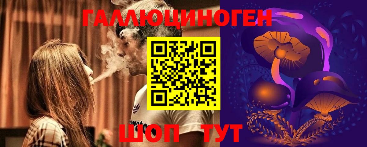 Псилоцибиновые грибы Psilocybe Десногорск