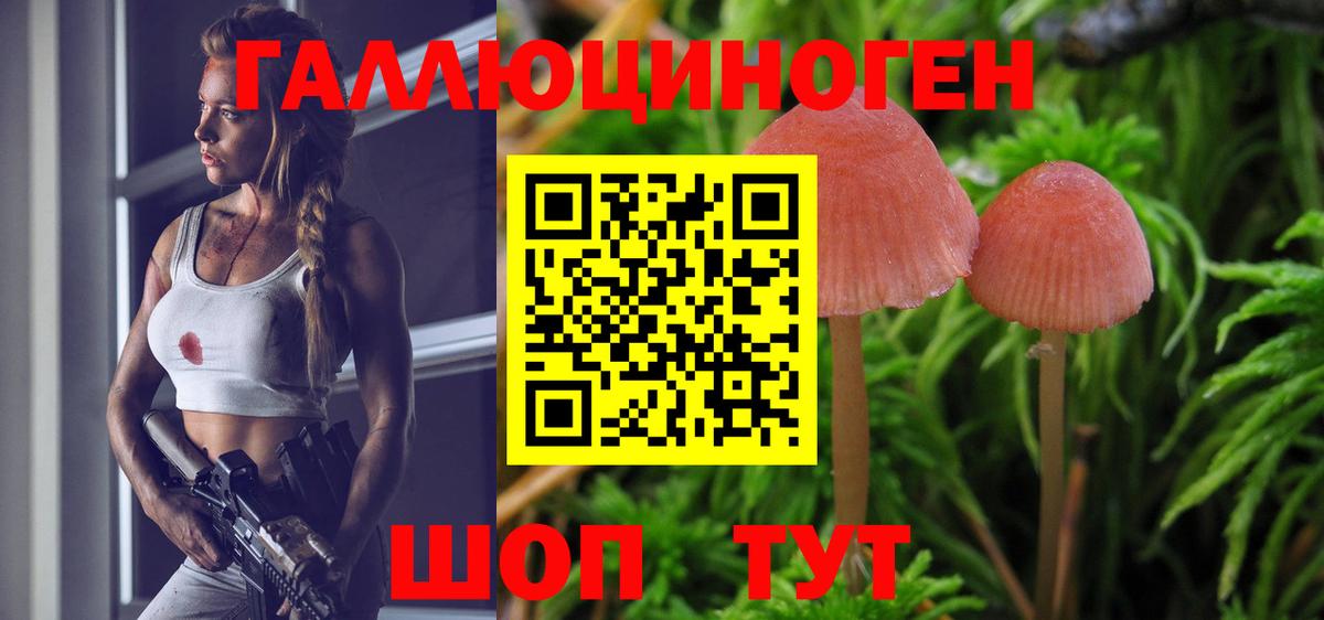 Псилоцибиновые грибы GOLDEN TEACHER  Вход с VPN  купить наркотики цена  Десногорск 